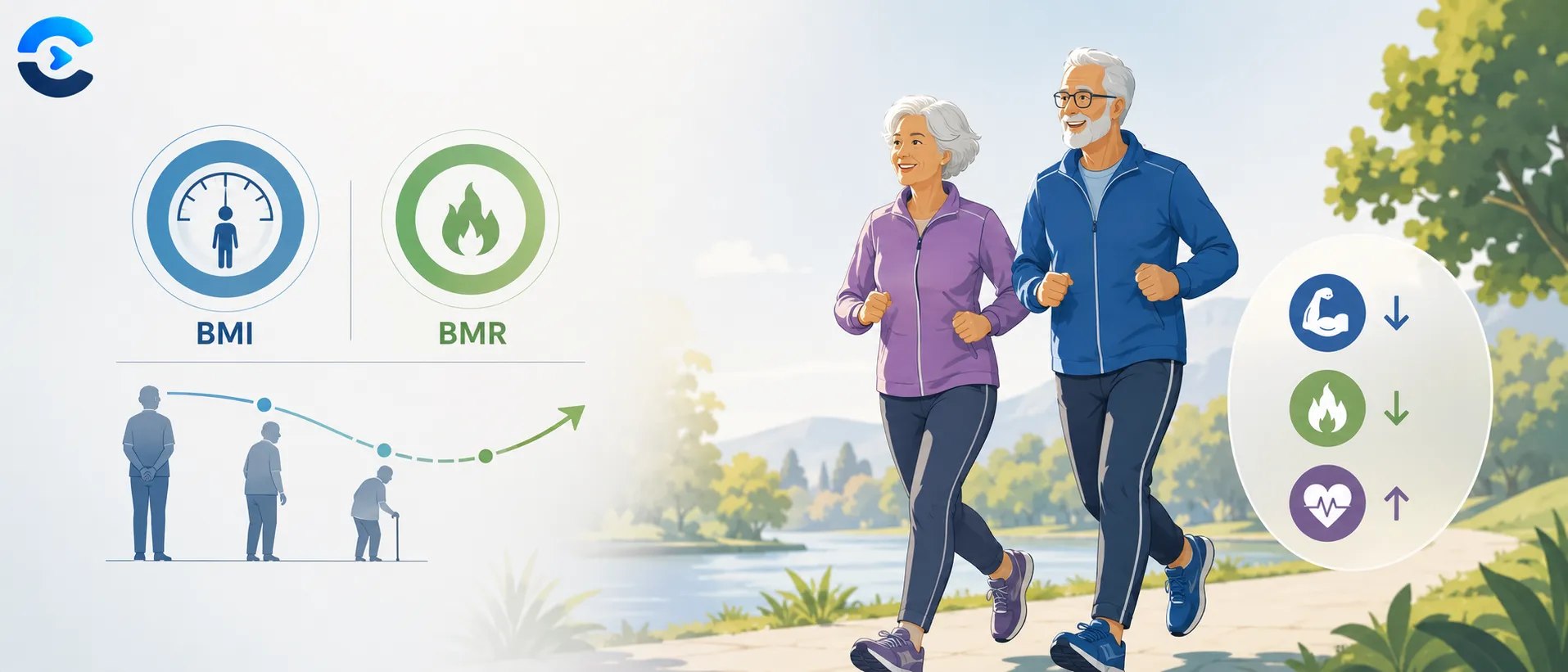 BMI BMR Calculation for Seniors: What Changes After 60 1 BMI BMR Calculation for Seniors